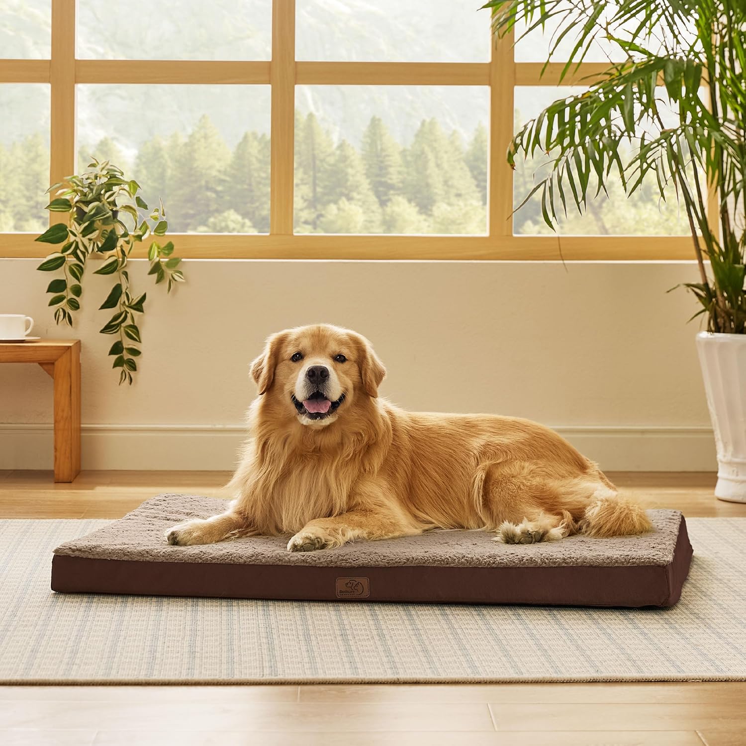 Bedsure Dog Beds Large Sized Dog - Comfy Flat Pet Beds with Removable Washable Cover, Orthopedic Egg Crate Foam Puppy Mat, Suitable for Pet Up to 65 lbs